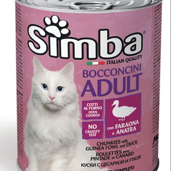 Simba Chunks
