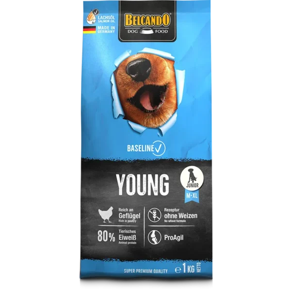Belcando Baseline Young Dry Food with Poultry in Salmon Oil for Medium to XL Breed Junior Dogs 1 KG