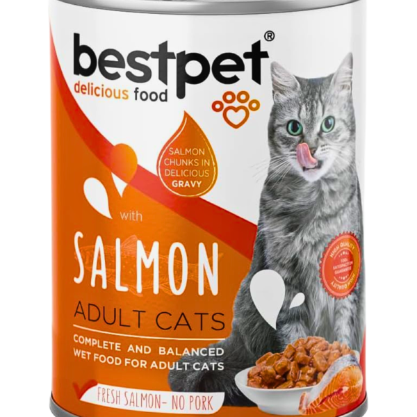 Best Pet Salmon